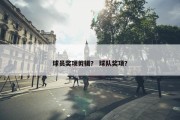 球员奖项剪辑？ 球队奖项？