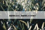 英超球队2019，英超球队2025年收入