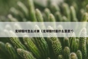 足球赔付怎么计算（足球赔付是什么意思?）