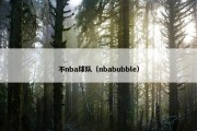 不nba球队（nbabubble）