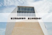 丽江球迷进球事件？ 丽江市球迷协会？