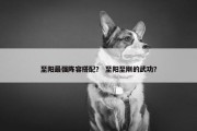 至阳最强阵容搭配？ 至阳至刚的武功？