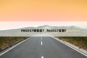 FM2017修草皮？ fm2017皮肤？