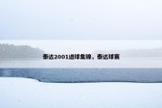 泰达2001进球集锦，泰达球赛