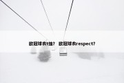 欧冠球衣t恤？ 欧冠球衣respect？