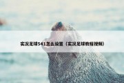 实况足球541怎么设置（实况足球教程视频）
