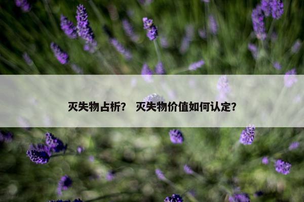 灭失物占析? 灭失物价值如何认定? 灭失物占析? 灭失物价值如何认定?