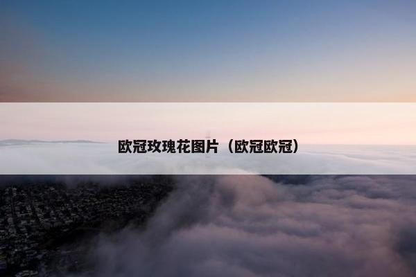 欧冠玫瑰花图片(欧冠欧冠) 欧冠玫瑰花图片(欧冠欧冠)