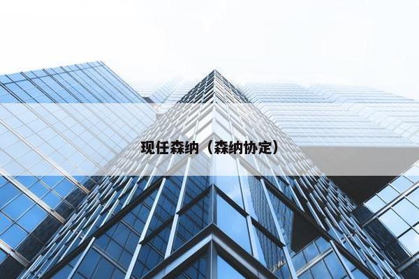 现任森纳（森纳协定）