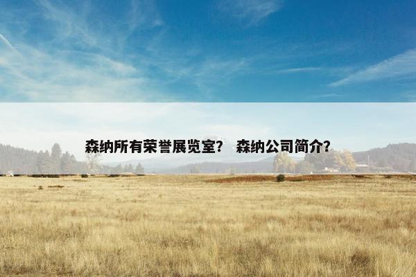 森纳所有荣誉展览室? 森纳公司简介? 森纳所有荣誉展览室? 森纳公司简介?