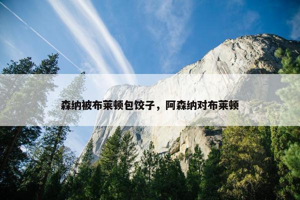 森纳被布莱顿包饺子,阿森纳对布莱顿 森纳被布莱顿包饺子,阿森纳对布莱顿