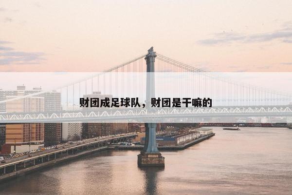 财团成足球队,财团是干嘛的 财团成足球队,财团是干嘛的