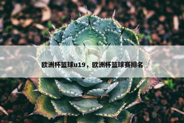 欧洲杯篮球u19,欧洲杯篮球赛排名 欧洲杯篮球u19,欧洲杯篮球赛排名