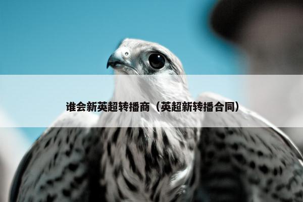 谁会新英超转播商（英超新转播合同）