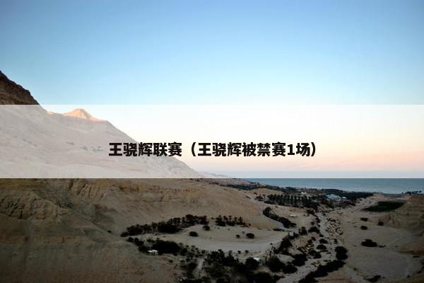 王骁辉联赛(王骁辉被禁赛1场) 王骁辉联赛(王骁辉被禁赛1场)