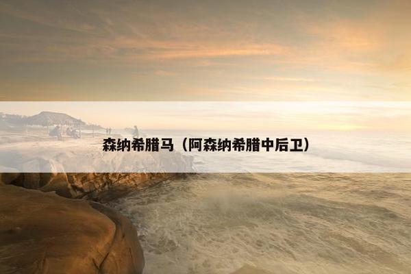 森纳希腊马(阿森纳希腊中后卫) 森纳希腊马(阿森纳希腊中后卫)