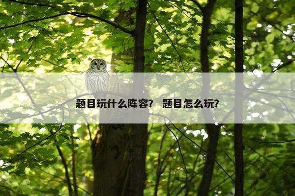 题目玩什么阵容? 题目怎么玩? 题目玩什么阵容? 题目怎么玩?