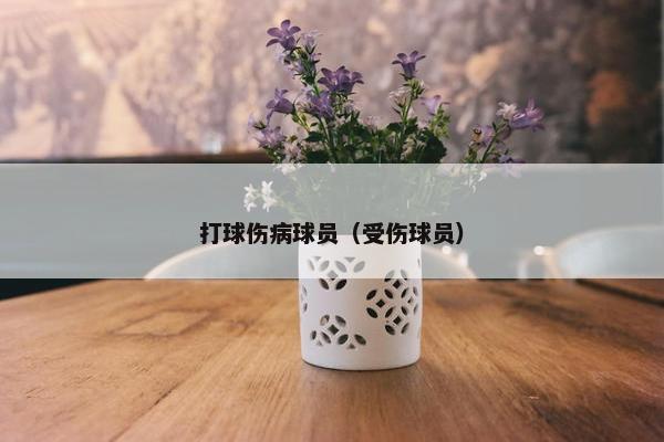 打球伤病球员(受伤球员) 打球伤病球员(受伤球员)