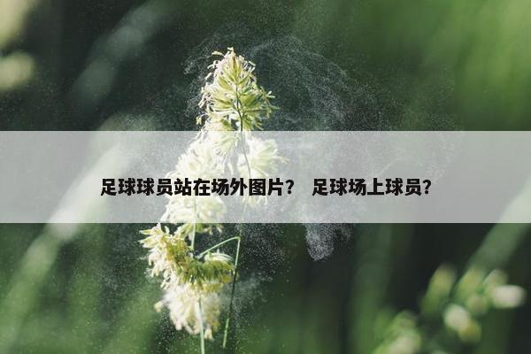 足球球员站在场外图片? 足球场上球员? 足球球员站在场外图片? 足球场上球员?