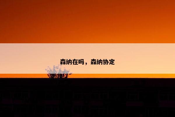 森纳在吗,森纳协定 森纳在吗,森纳协定