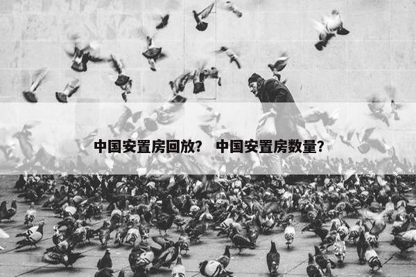 中国安置房回放？ 中国安置房数量？