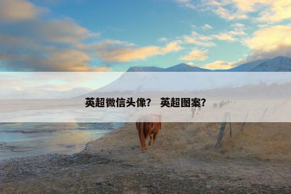 英超微信头像？ 英超图案？