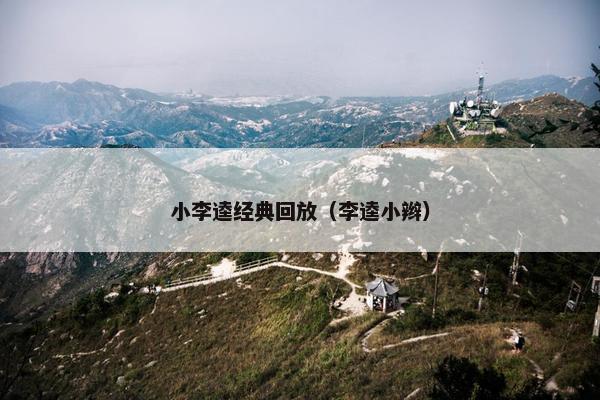 小李逵经典回放(李逵小辫) 小李逵经典回放(李逵小辫)