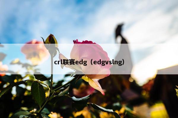 crl联赛edg(edgvslng) crl联赛edg(edgvslng)