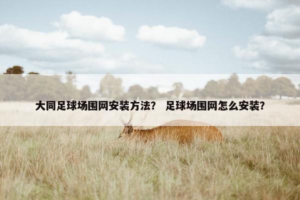 大同足球场围网安装方法？ 足球场围网怎么安装？