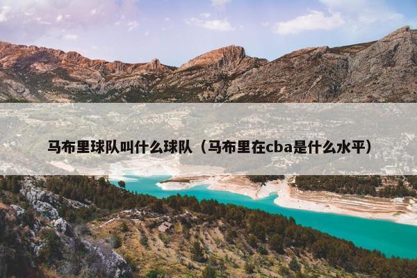 马布里球队叫什么球队（马布里在cba是什么水平）