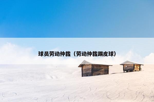 球员劳动仲裁（劳动仲裁踢皮球）