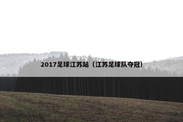 2017足球江苏站（江苏足球队夺冠）