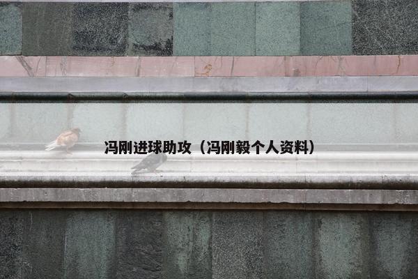 冯刚进球助攻（冯刚毅个人资料）