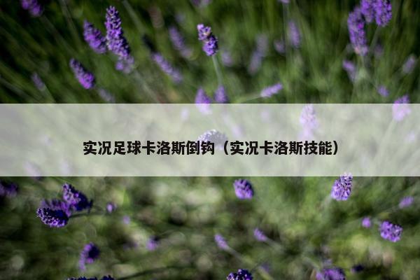 实况足球卡洛斯倒钩（实况卡洛斯技能）