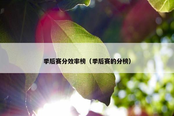 季后赛分效率榜(季后赛的分榜) 季后赛分效率榜(季后赛的分榜)