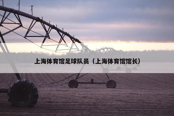 上海体育馆足球队员(上海体育馆馆长) 上海体育馆足球队员(上海体育馆馆长)
