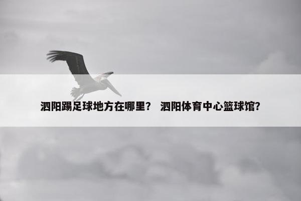 泗阳踢足球地方在哪里？ 泗阳体育中心篮球馆？