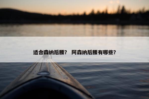 适合森纳后腰? 阿森纳后腰有哪些? 适合森纳后腰? 阿森纳后腰有哪些?