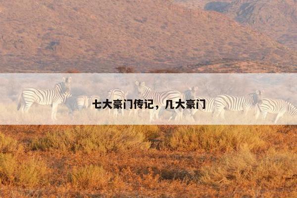 七大豪门传记,几大豪门 七大豪门传记,几大豪门