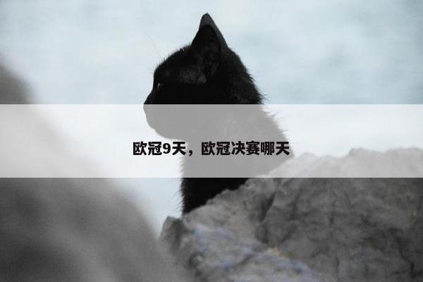 欧冠9天,欧冠决赛哪天 欧冠9天,欧冠决赛哪天