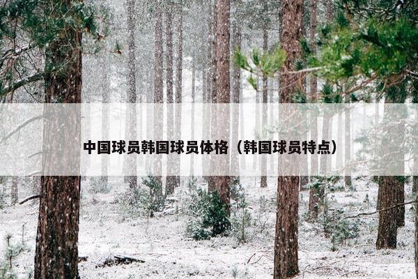 中国球员韩国球员体格（韩国球员特点）