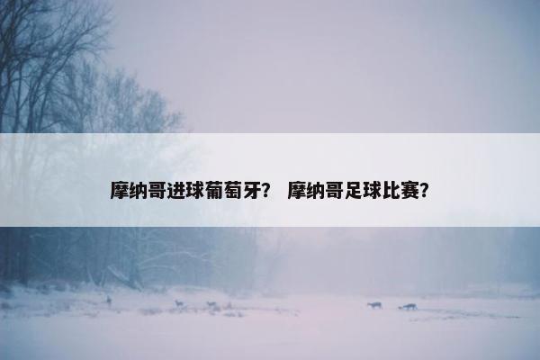 摩纳哥进球葡萄牙? 摩纳哥足球比赛? 摩纳哥进球葡萄牙? 摩纳哥足球比赛?