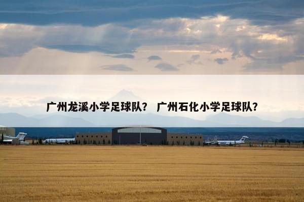 广州龙溪小学足球队? 广州石化小学足球队? 广州龙溪小学足球队? 广州石化小学足球队?