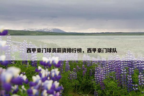 西甲豪门球员薪资排行榜,西甲豪门球队 西甲豪门球员薪资排行榜,西甲豪门球队