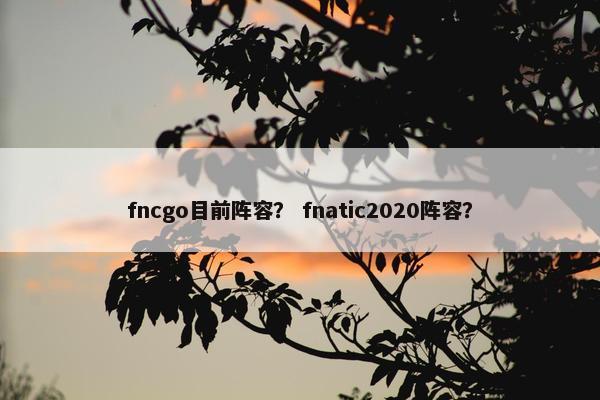 fncgo目前阵容? fnatic2020阵容? fncgo目前阵容? fnatic2020阵容?