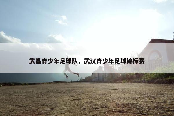 武昌青少年足球队,武汉青少年足球锦标赛 武昌青少年足球队,武汉青少年足球锦标赛
