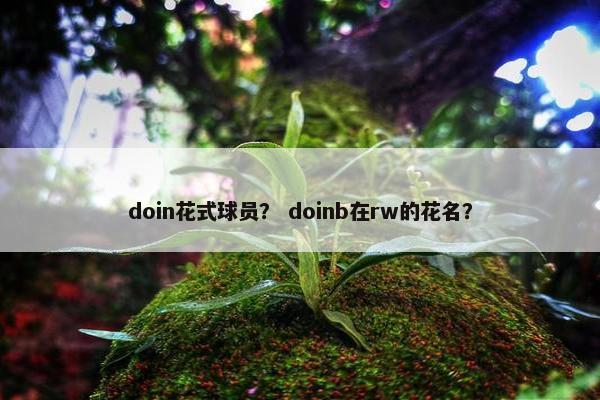 doin花式球员？ doinb在rw的花名？
