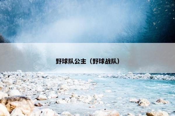 野球队公主（野球战队）