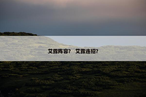 艾露阵容？ 艾露连招？