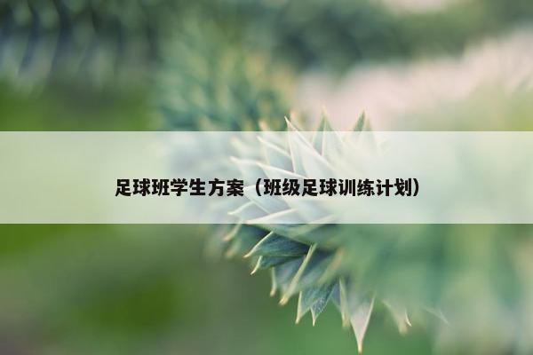 足球班学生方案（班级足球训练计划）